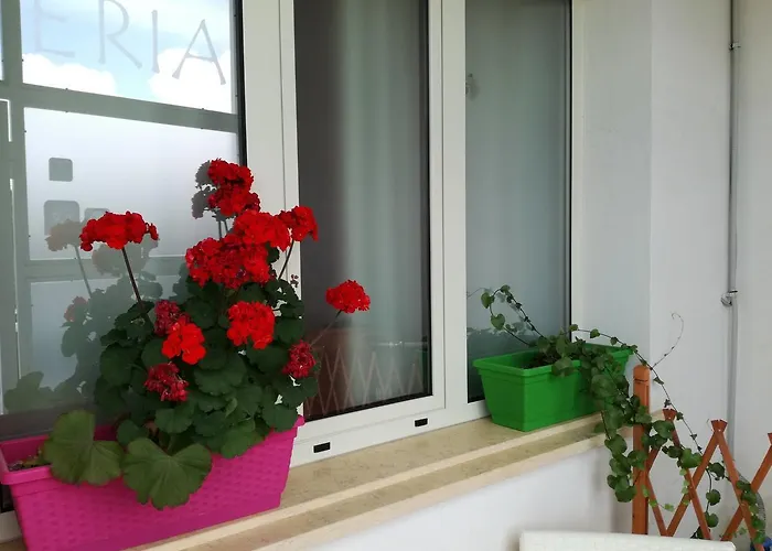 Oda ve Kahvaltı Arzeria